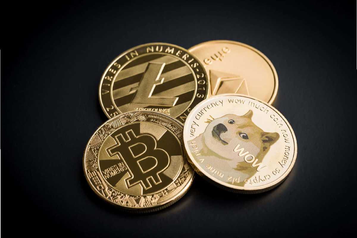 Dogecoin Price Trounces Bitcoin in Bear Market